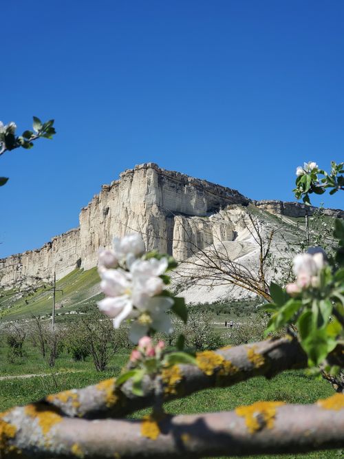 Free Beautiful rock formations in spring with blooming flowers in the foreground under a clear blue sky. Stock Photo
