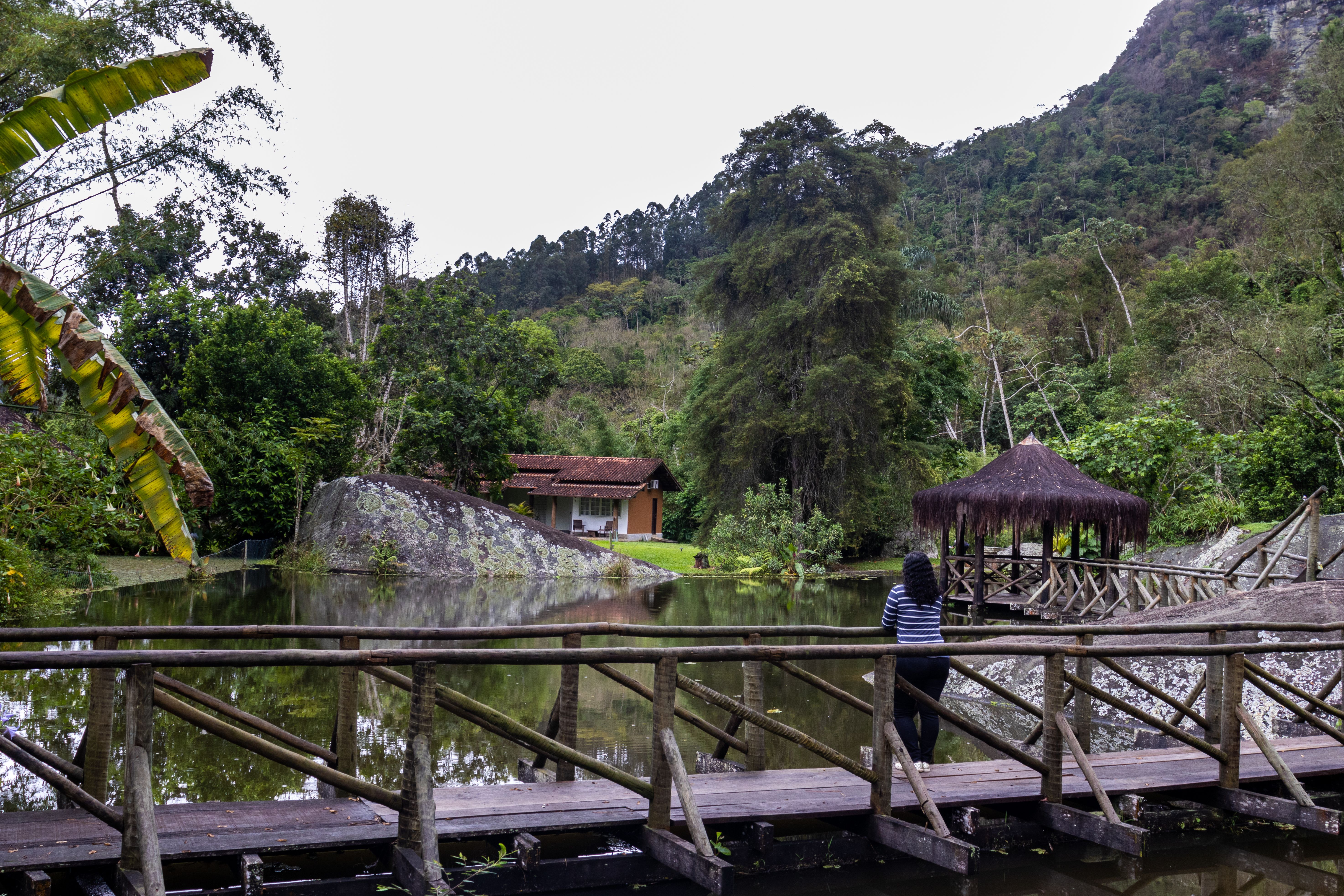 Tours, activities & tickets in Nova Friburgo
