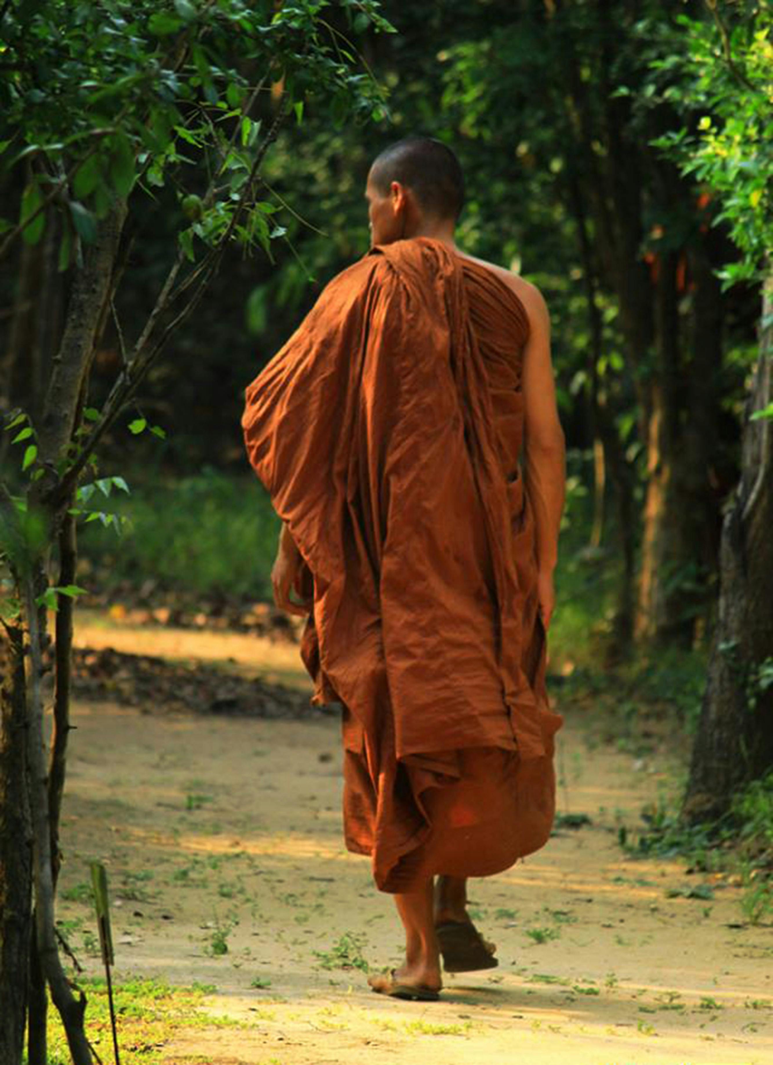 buddhist monk photography