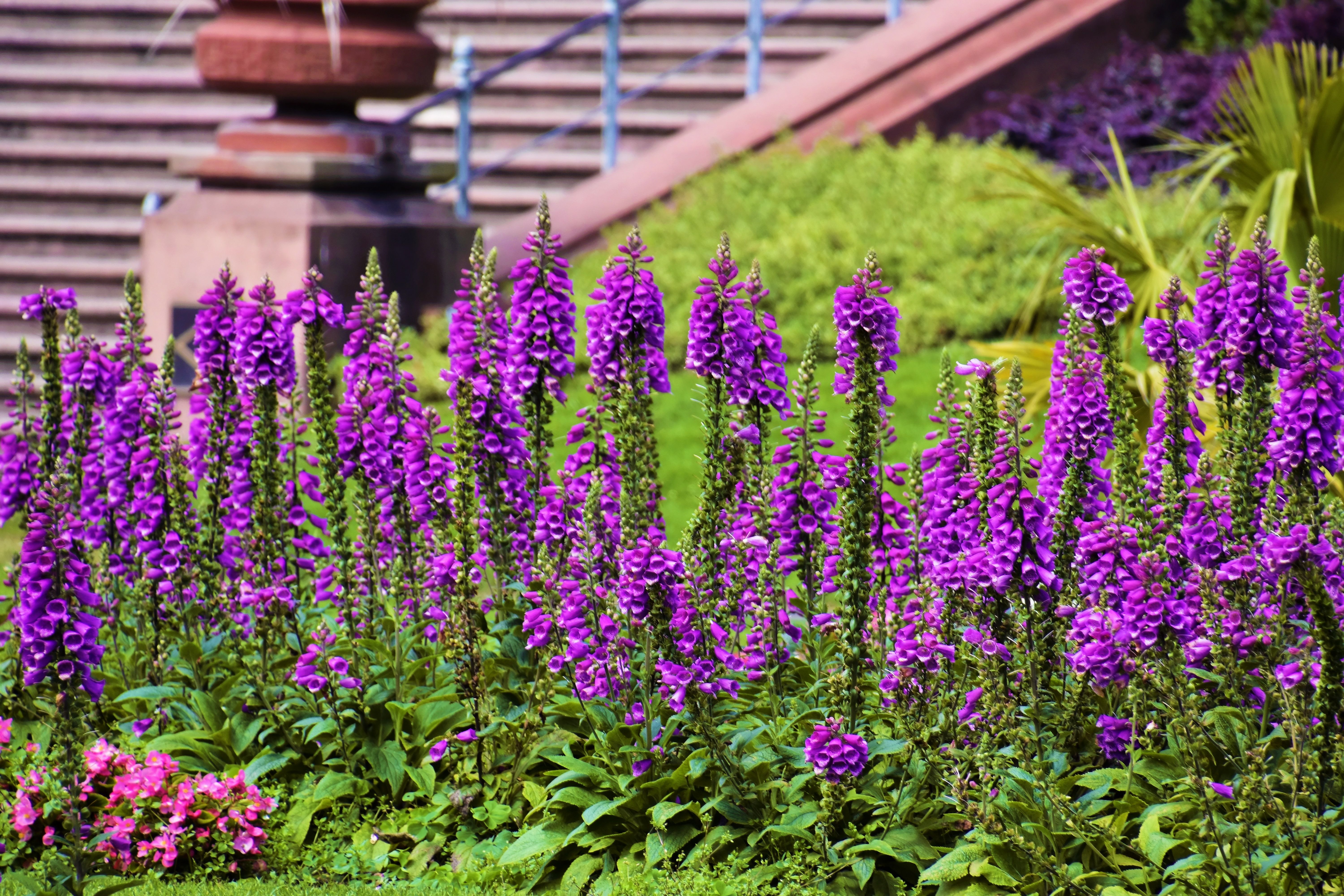 Bunte Gartenliege — Empfehlung für Farbige Gartenmöbel einsetzen
