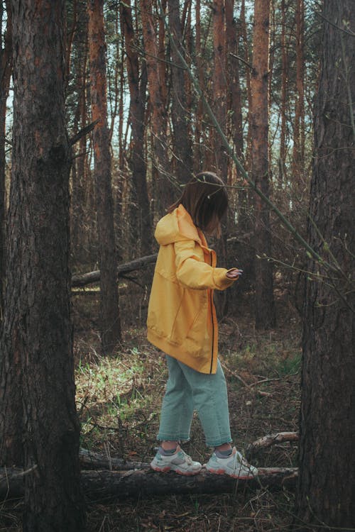 Fotos de stock gratuitas de bosque, caminando, chaqueta amarilla