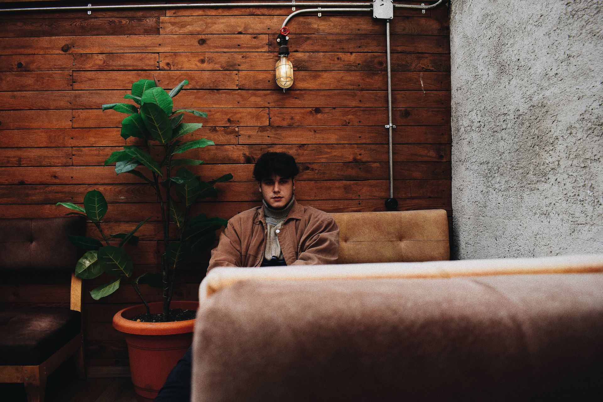 A relaxed indoor setting featuring a man sitting on a couch with a fiddle leaf fig and vintage light fixture against a wooden wall.
