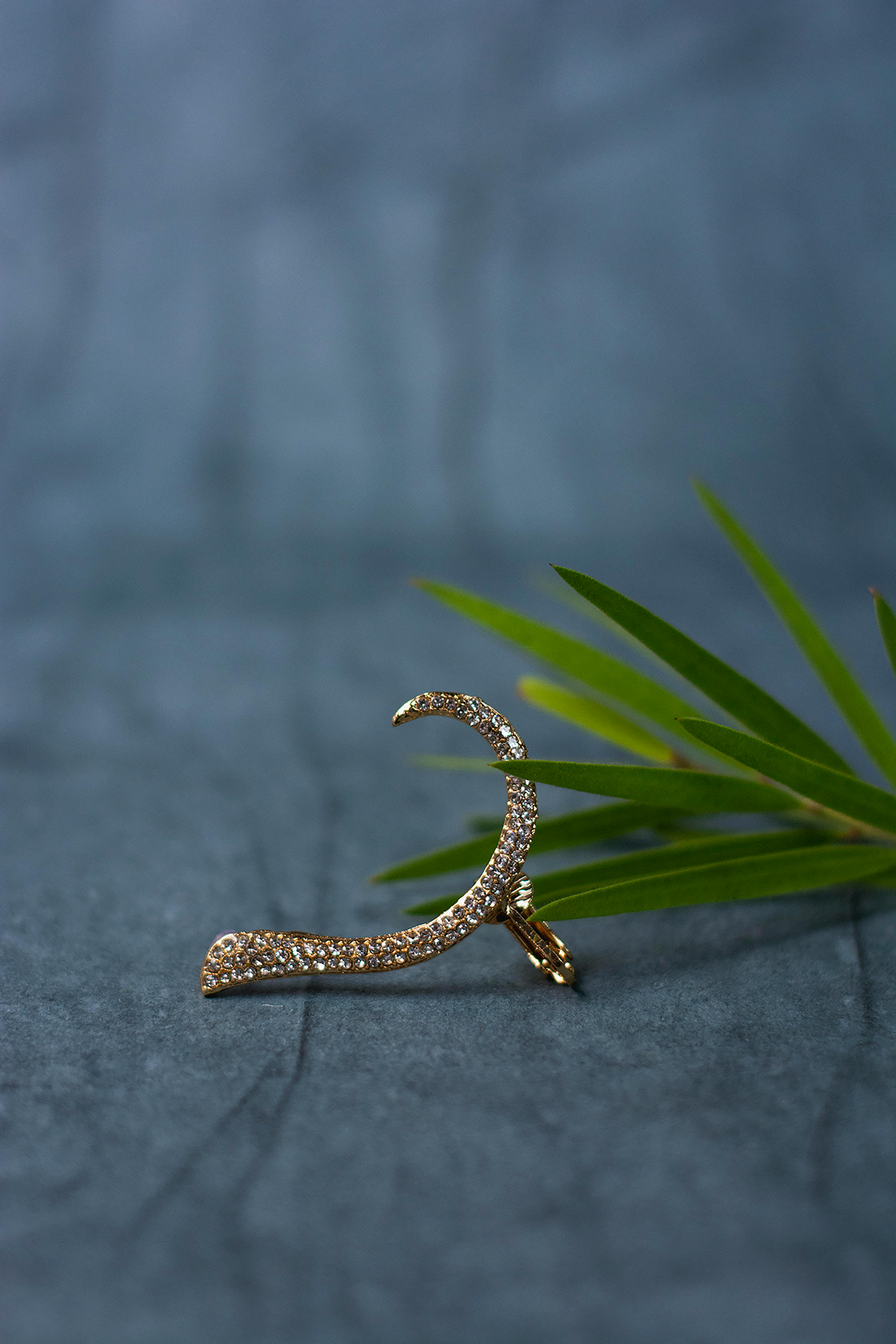 close up view of piercing and needle leaf