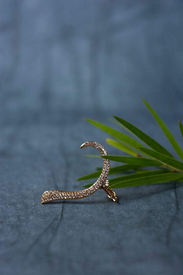 Close-Up View Of Piercing And Needle Leaf