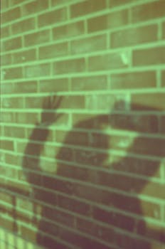 Abstract shadow of a person cast on a brick wall, creating a mysterious silhouette.