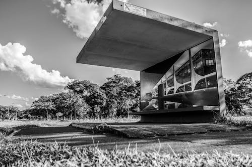 Free stock photo of black and white city, brasil, coniferous trees