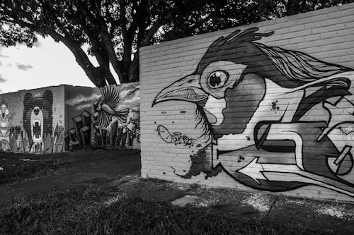 Gratis lagerfoto af graffiti, grafitti, sort og hvid by