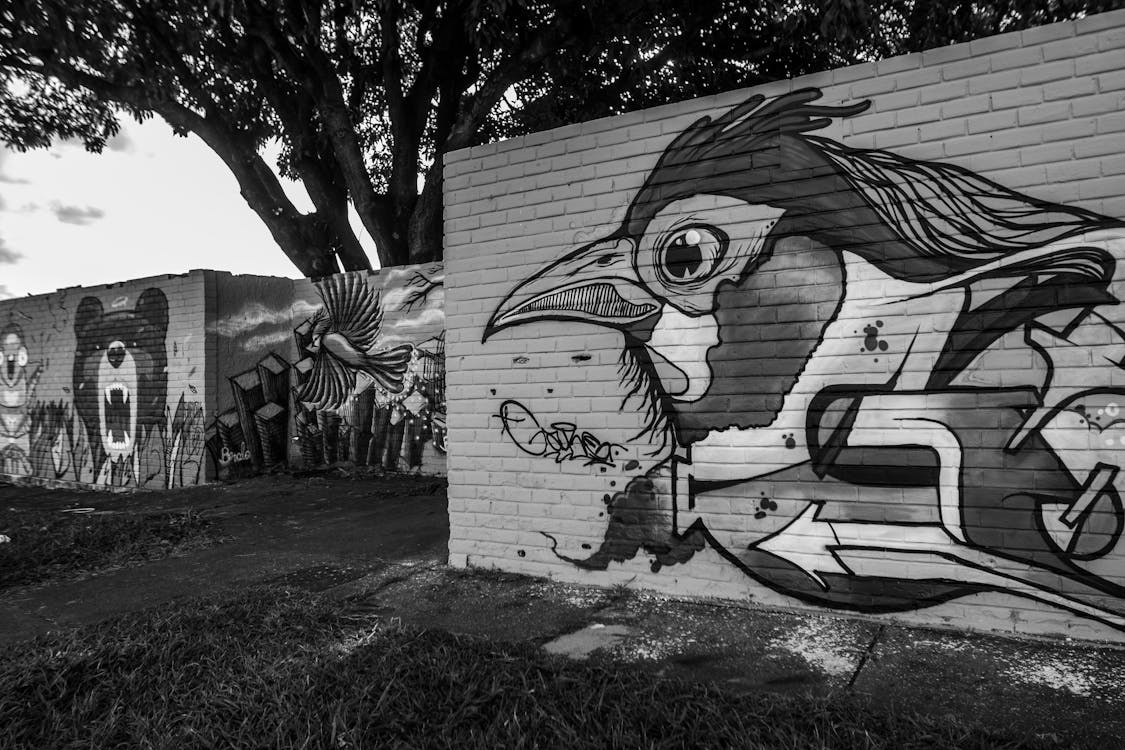 Free stock photo of black and white city, graffiti, grafitti