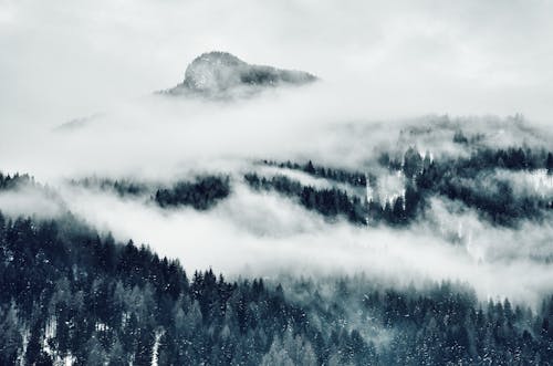 免费 山覆盖物与云的高角度照片 素材图片