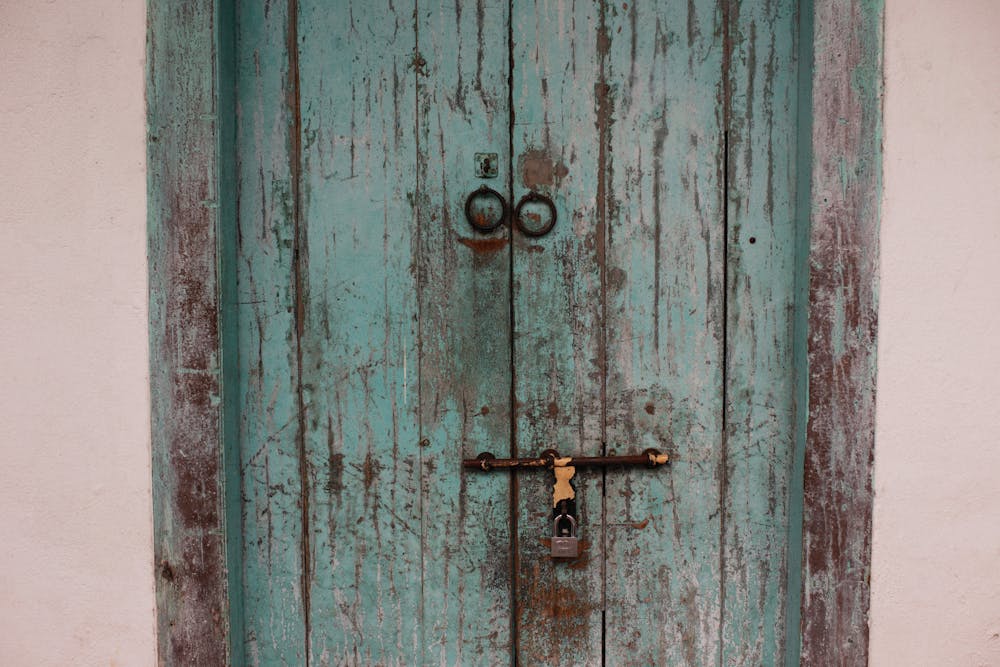 home door pull up bar