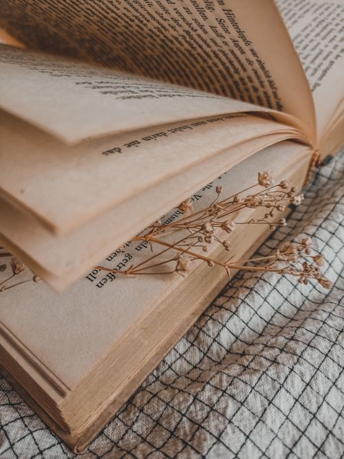 Free Close-up of an open vintage book with dry flowers on a textured fabric background. Stock Photo