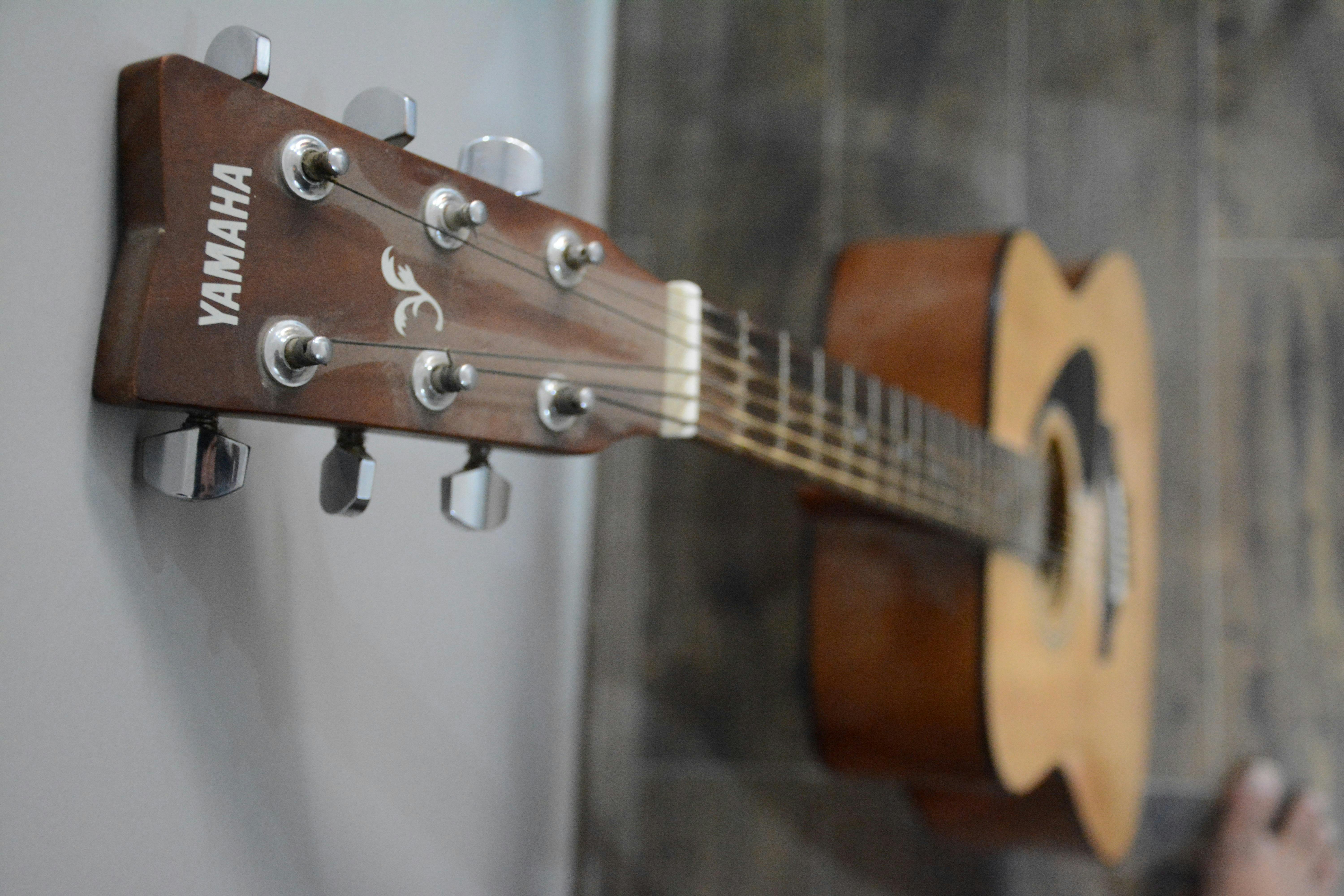 Free stock photo of acoustic guitar, guitar head, yamaha