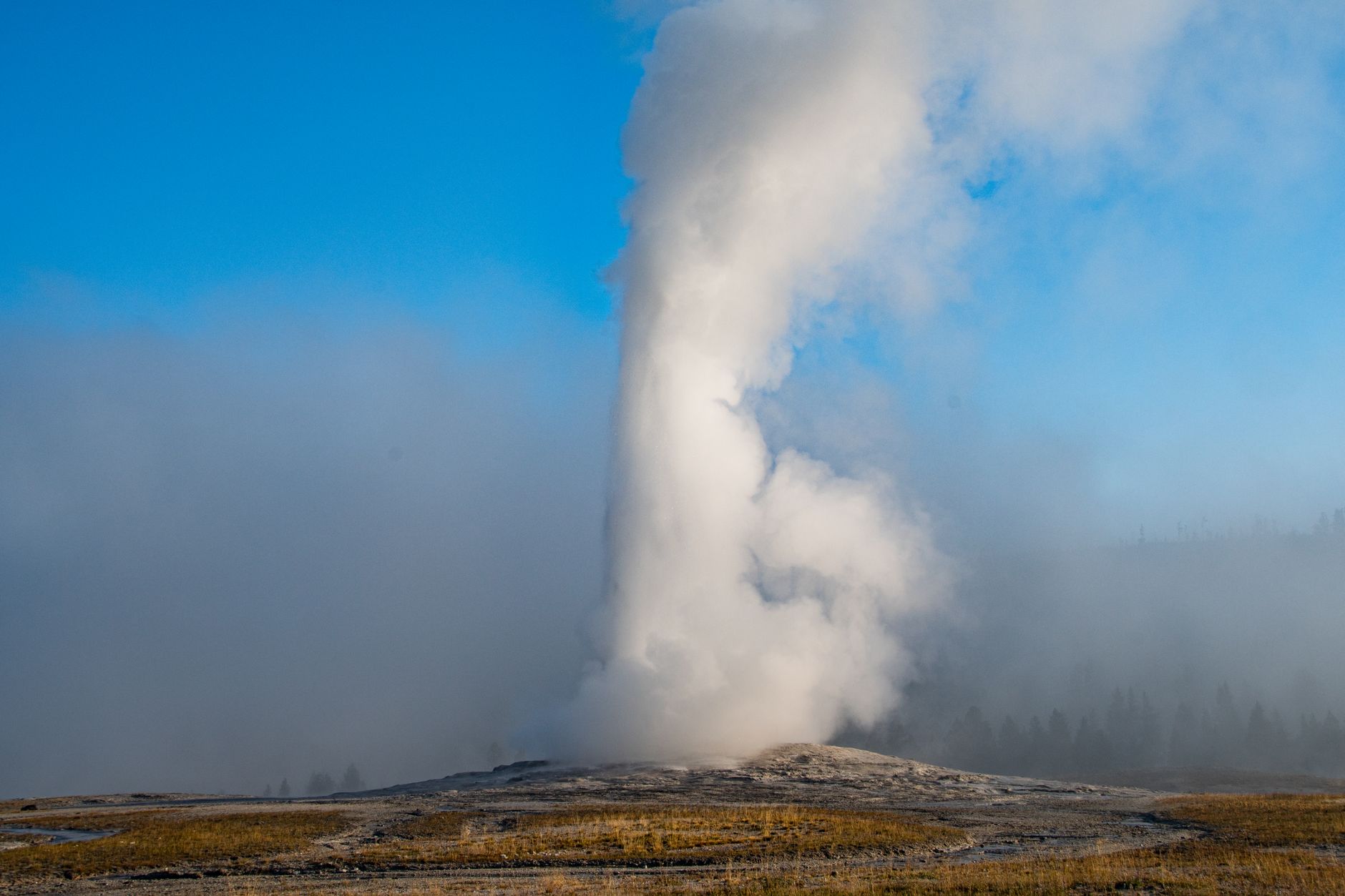 Old Faithful Geyser