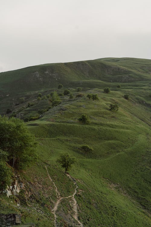 Gratis lagerfoto af bjerg, grøn mark, landdistrikt