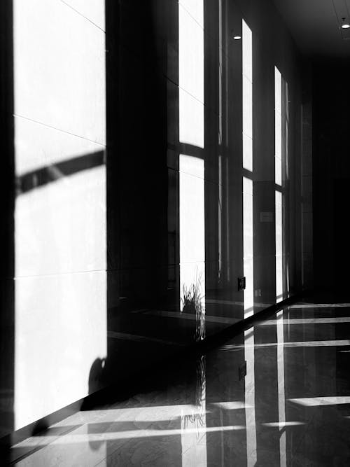 Immagine gratuita di bianco e nero, edificio, finestre