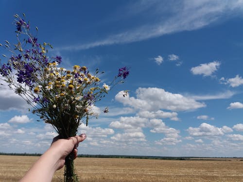 Close-Up Shot of a Person Holding a Bunch of Flowers