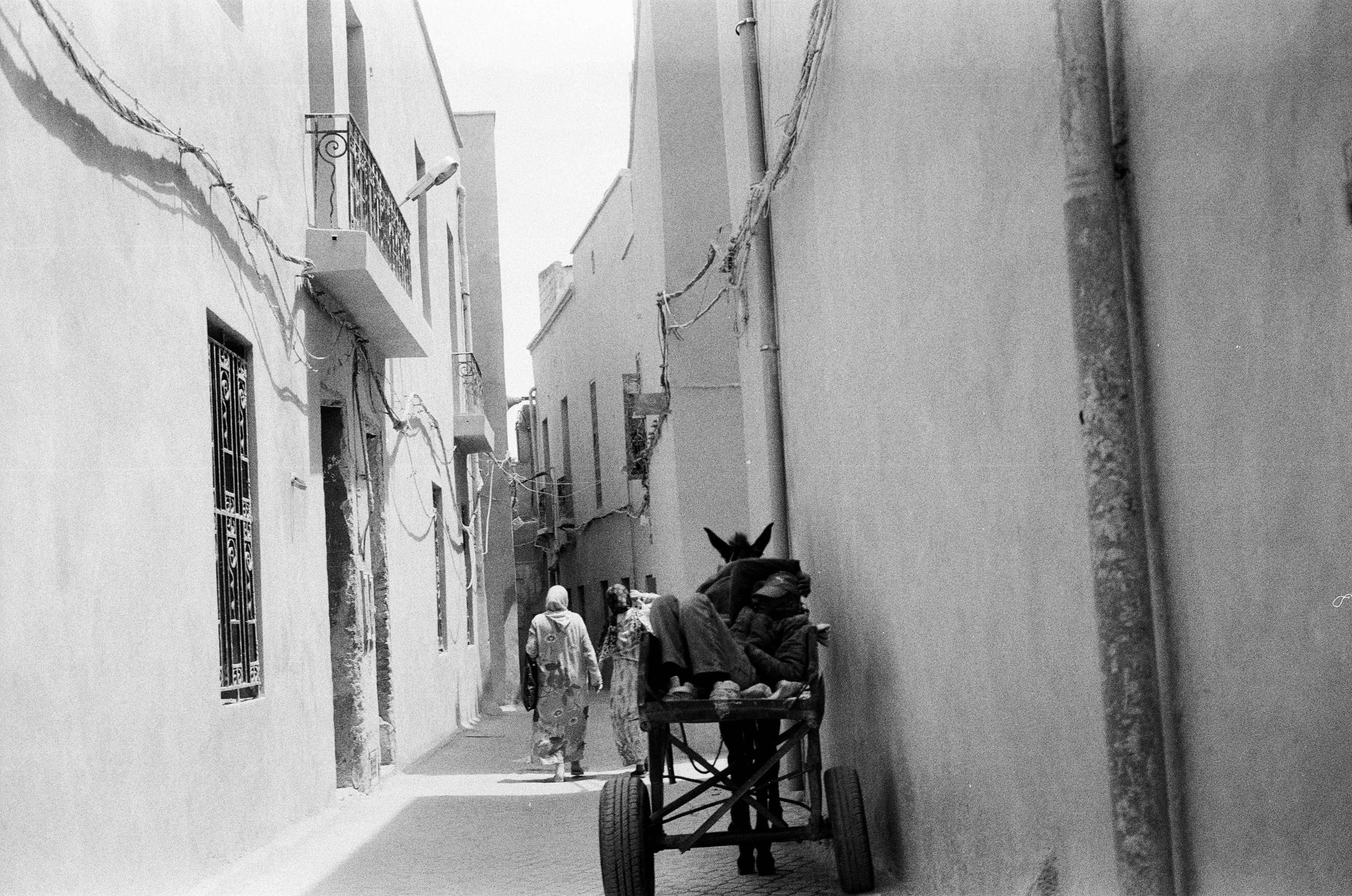 lamu museum kenya swahili coast collection artifacts fort interior artefacts exhibits