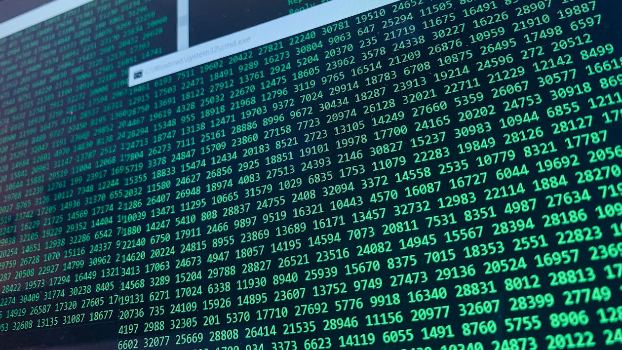 Codes On Screen · Free Stock Photo