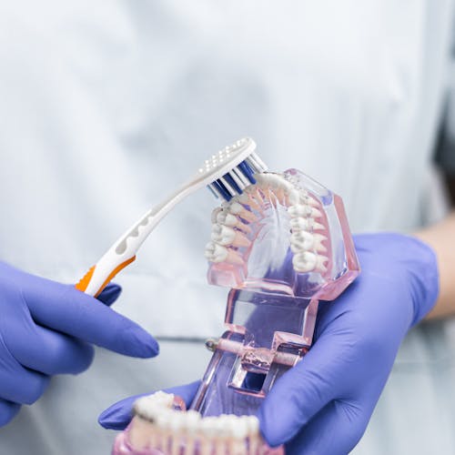 Close-up of a Dentist Cleaning a Denture