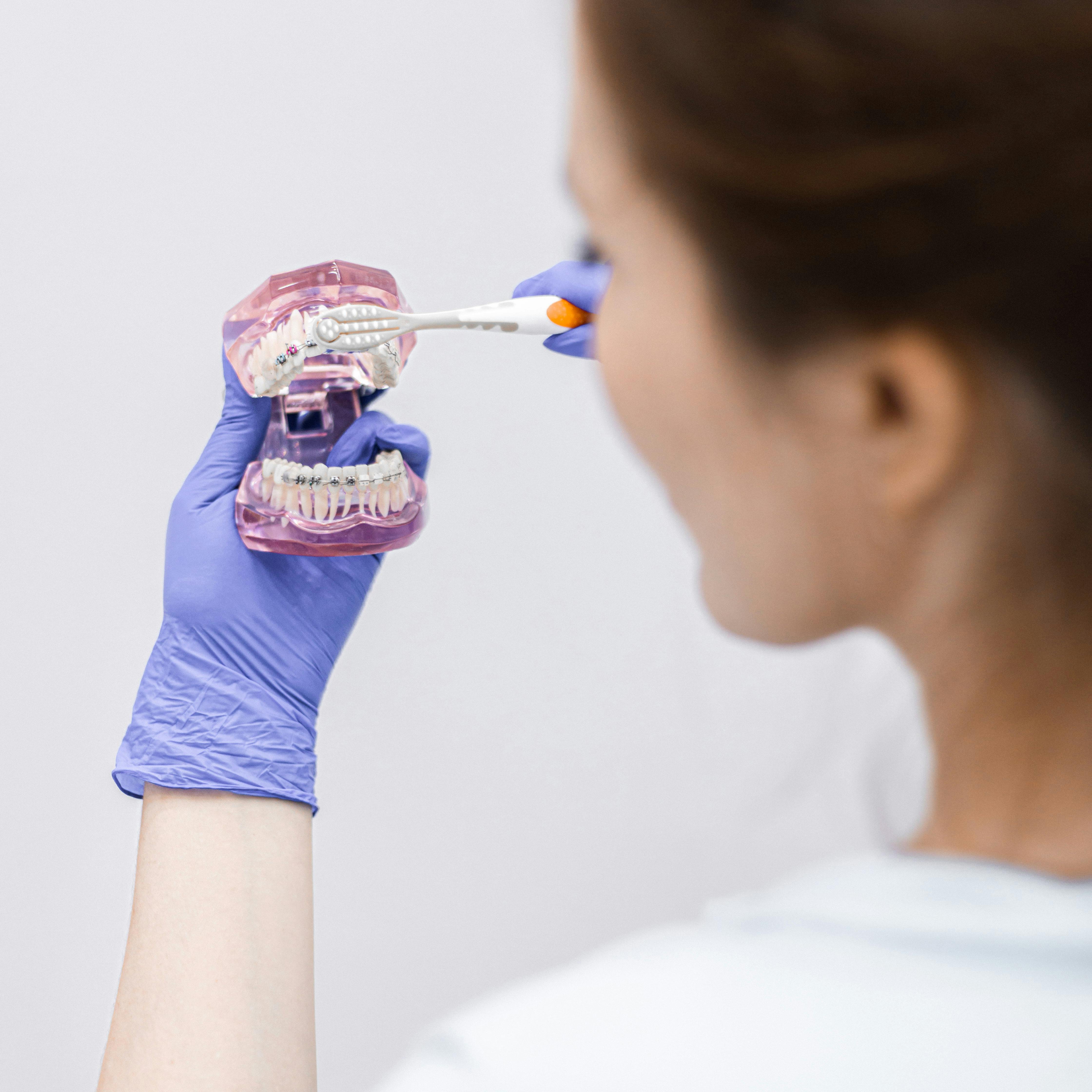 bezplatná Základová fotografie zdarma na téma dentální hygiena, držák na zubní kartáček, fialové rukavice Základová fotografie