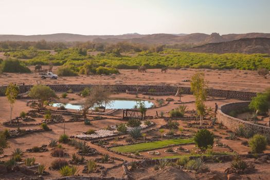 Stunning aerial view of a Namibian sanctuary featuring elephants and lush greenery amid desert landscape.