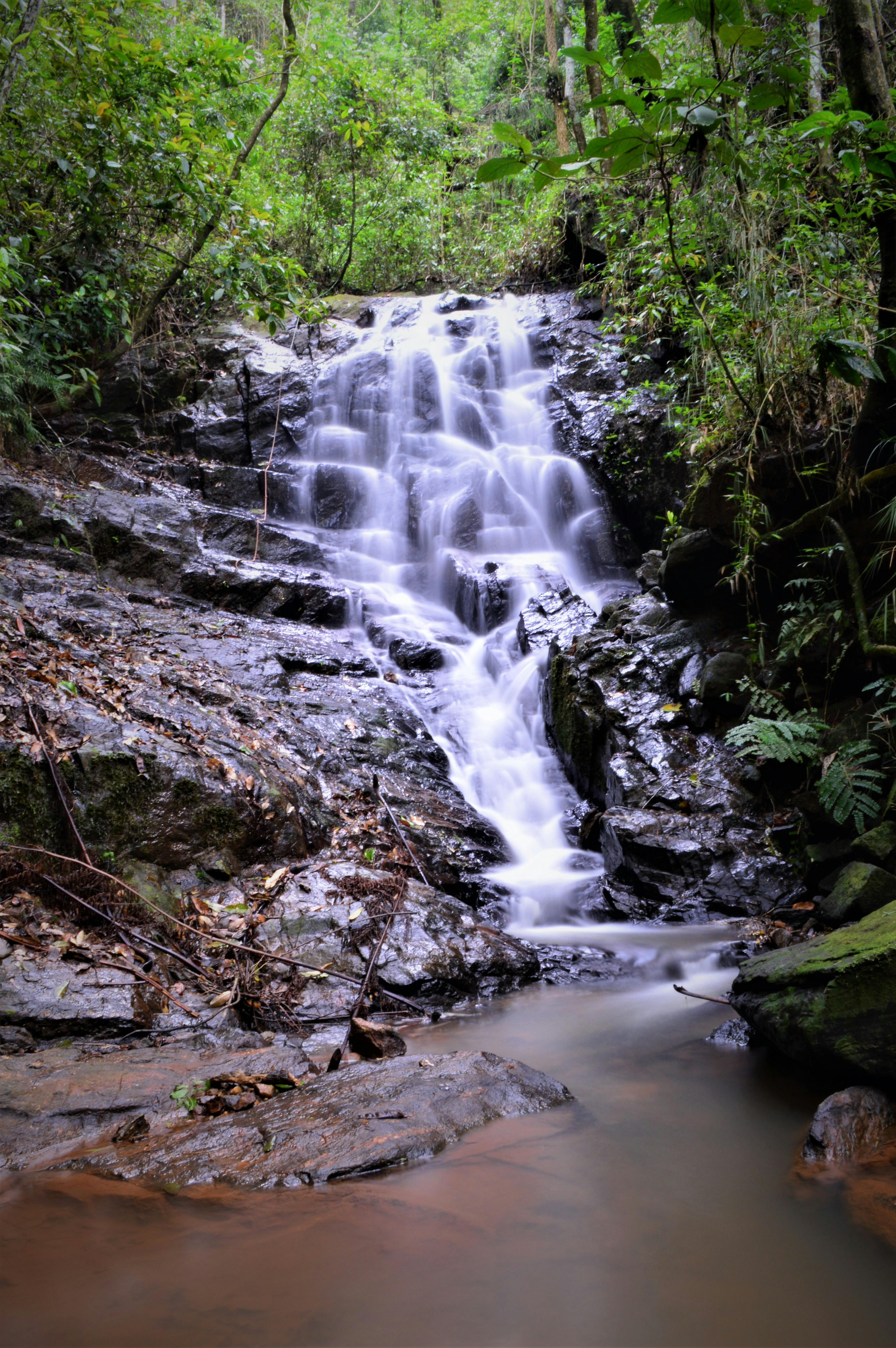 Free Tranquil waterfall surrounded by lush greenery in Monteiro Lobato, Brazil. Perfect for nature lovers. Stock Photo