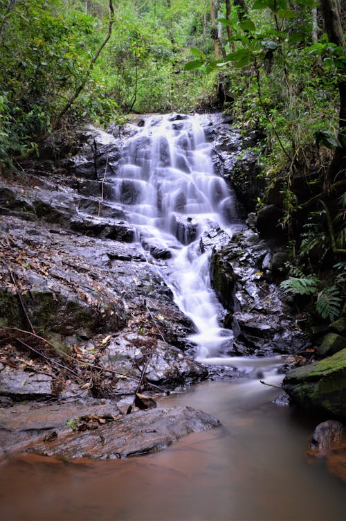 Gratis Immagine gratuita di acqua, alberi, cascata Foto a disposizione