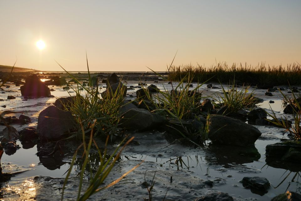 in Neuharlingersiel