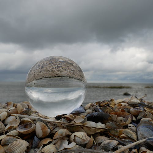 Close-Up Photograph of a Lensball on Top of Seashells