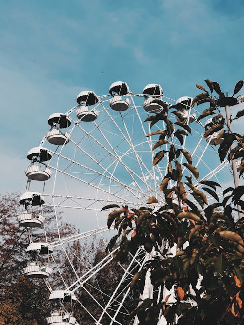 A Ferris Wheel Under the Blue Sky 