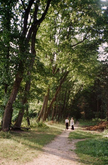 Two women walking through a tranquil sunlit forest path in summer.
