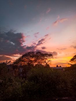 Enchanting sunset view with vibrant colors and silhouetted trees against a serene sky.