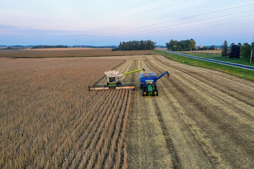 Ingyenes stockfotó aratás, farm, földművelés témában