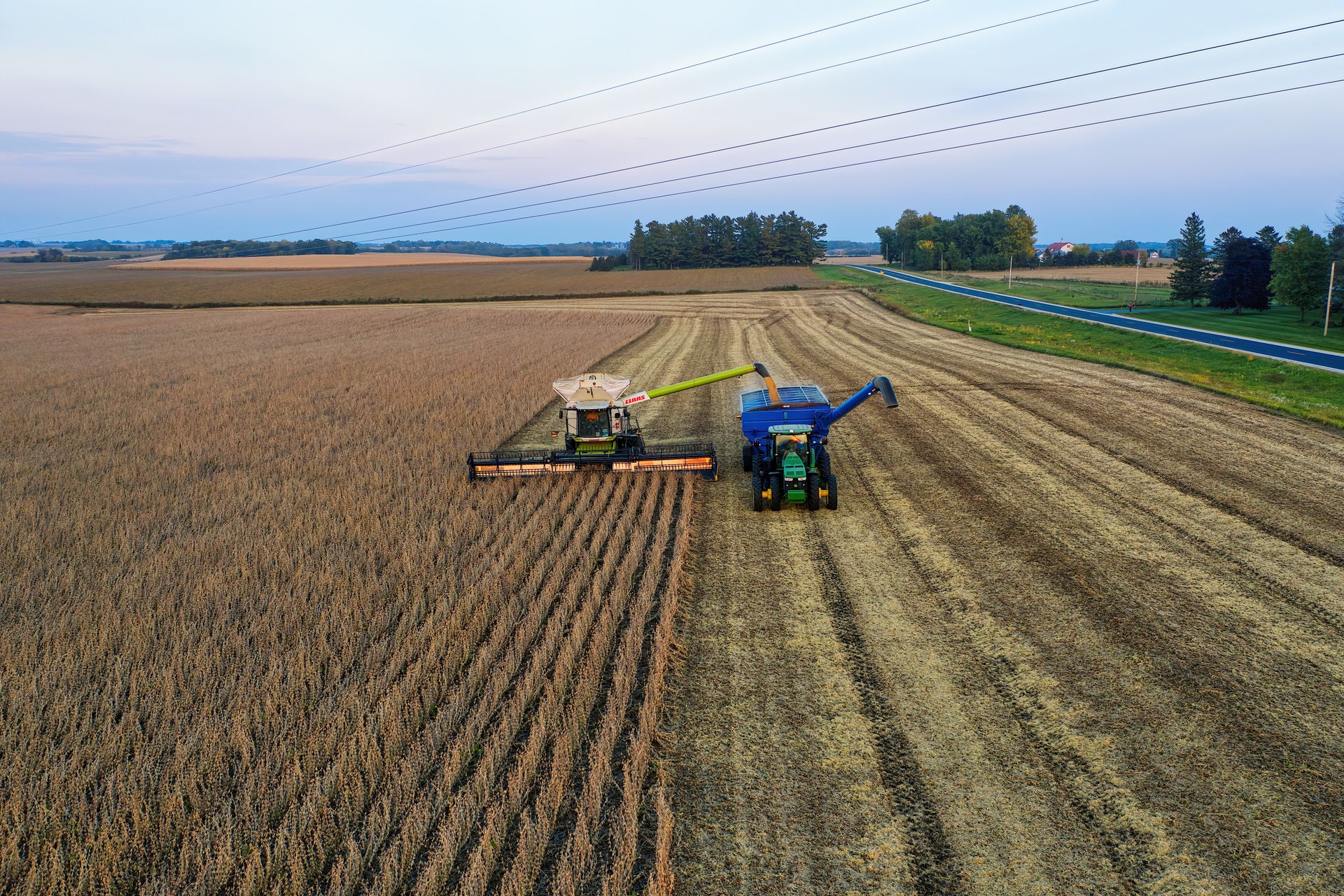 Campo de cultivo durante la temporada de cosecha