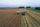 harvesting