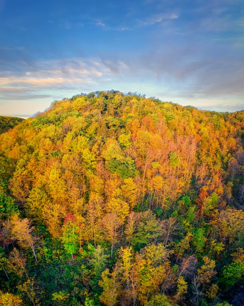 Kostenloses Stock Foto zu bäume, berg, drohne erschossen