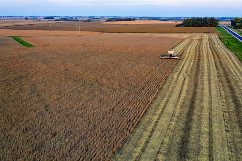 Gratis stockfoto met boerderij veld, dronefoto, landbouw