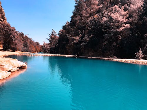 Free stock photo of antalya, beautiful nature, blue lake