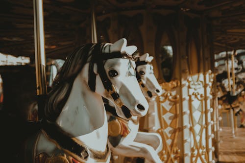 Gratis lagerfoto af forlystelsestur, hest, karneval
