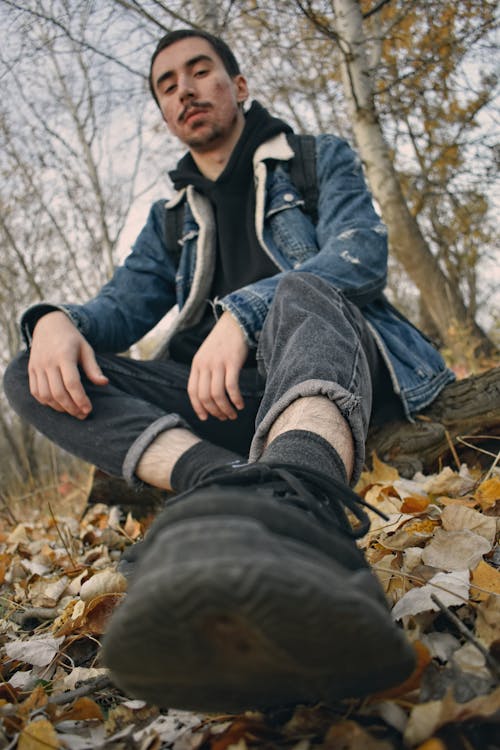 Free stock photo of autumn forest, forest, jeans Stock Photo