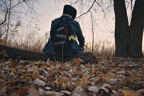 Free stock photo of autumn, autumn forest, backpack