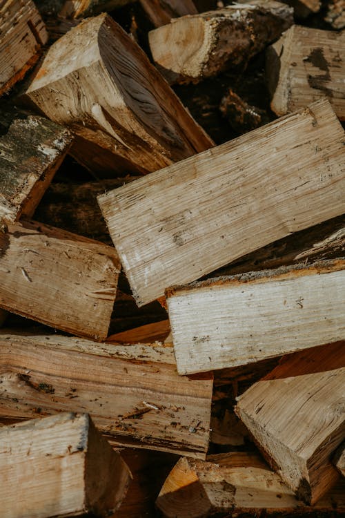 Free Close-Up Shot of Fire Woods Stock Photo