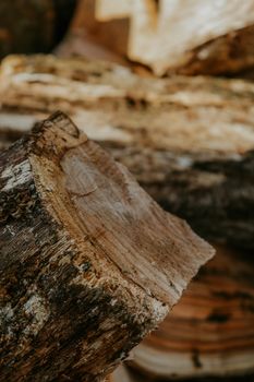 Detailed shot of chopped firewood log outdoors, perfect for rustic and natural themes.