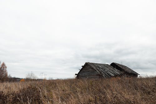 бесплатная Бесплатное стоковое фото с деревянный дом, за городом, сельский Стоковое фото