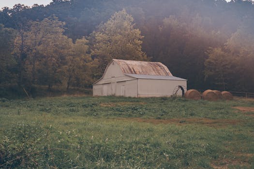 Serene scene of a white barn surrounded by green fields and trees, capturing rural charm.