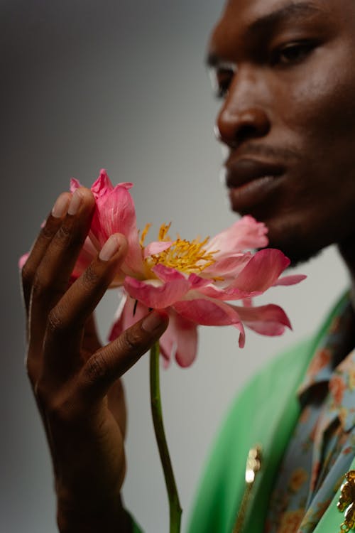 Free Close-Up Shot of a Man Holding a Pink Flower Stock Photo