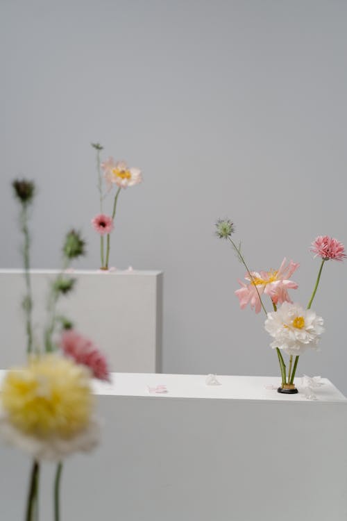 Gratis stockfoto met arrangement, artificieel, bloemen