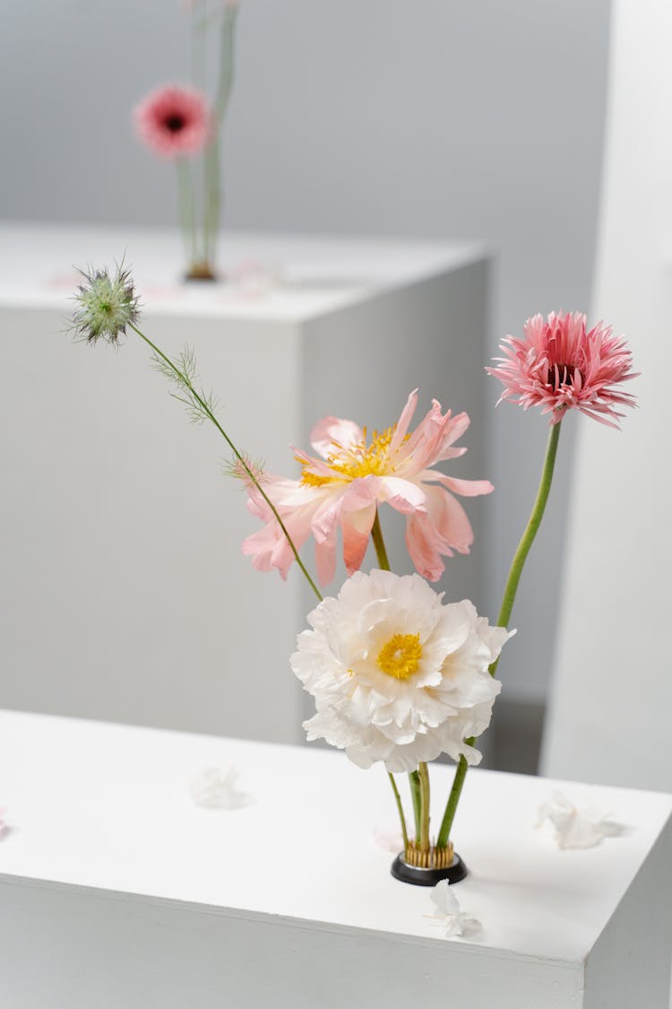 Flowers On White Stands