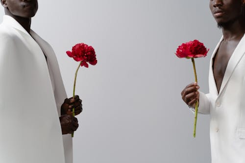 Foto profissional grátis de dreadlocks, elegante, fechar-se