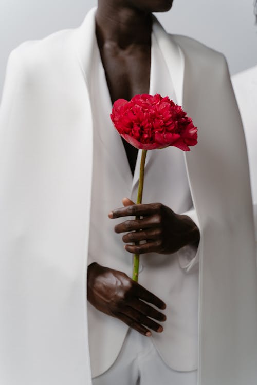 Free Person Wearing a White Suit Holding a Red Peony Stock Photo